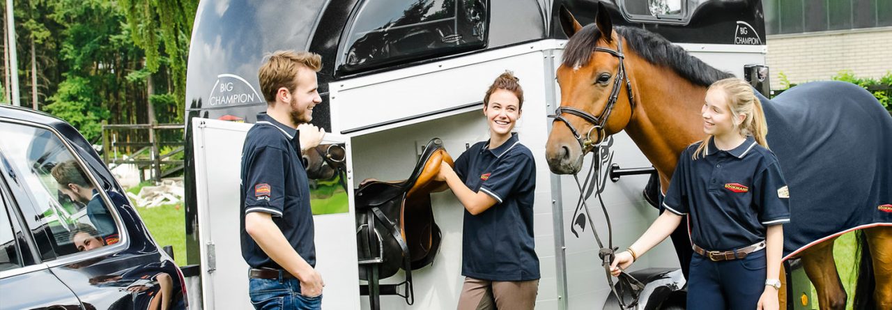 Southern Stars Saddlery
