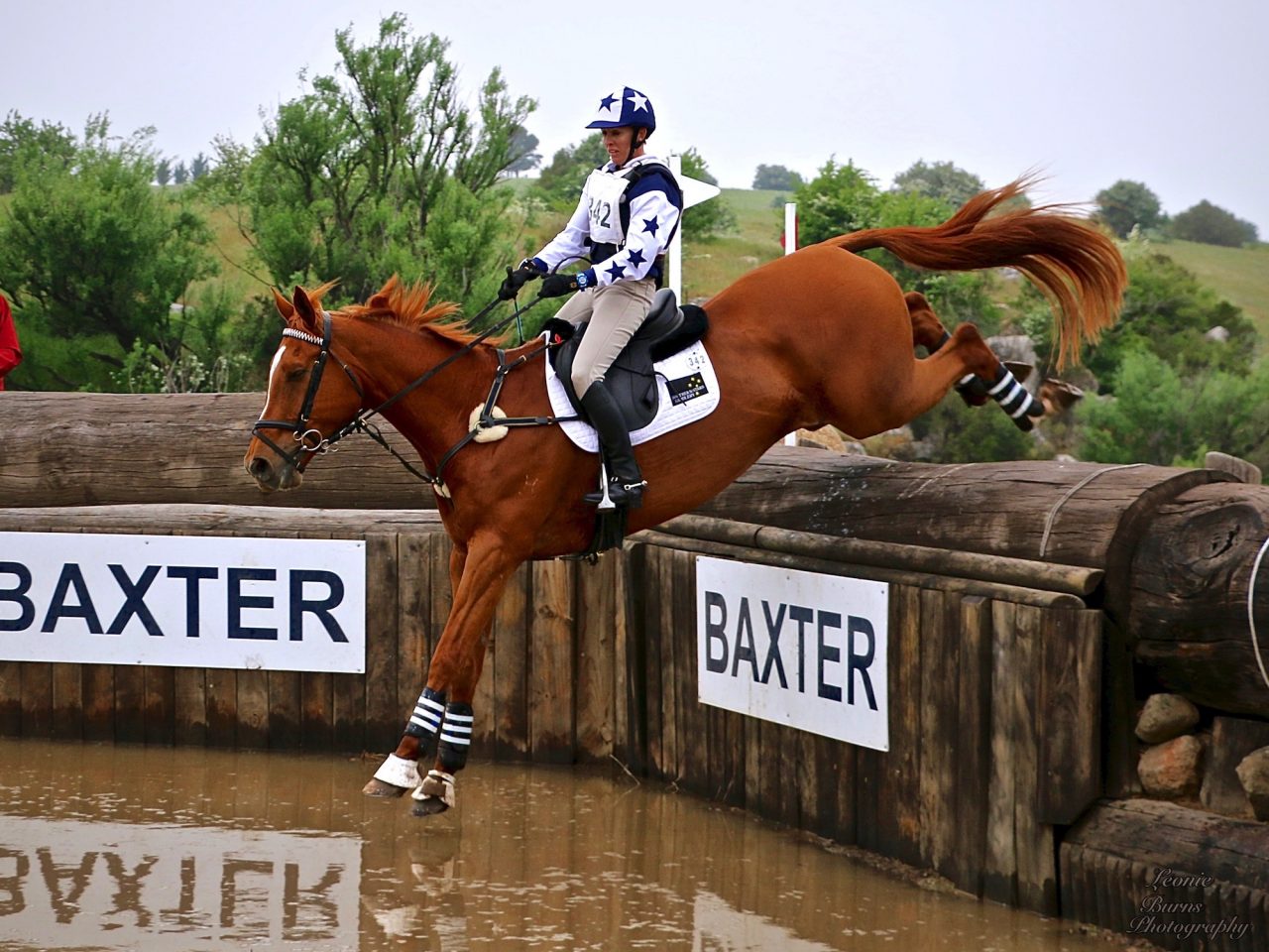 Southern Stars Saddlery