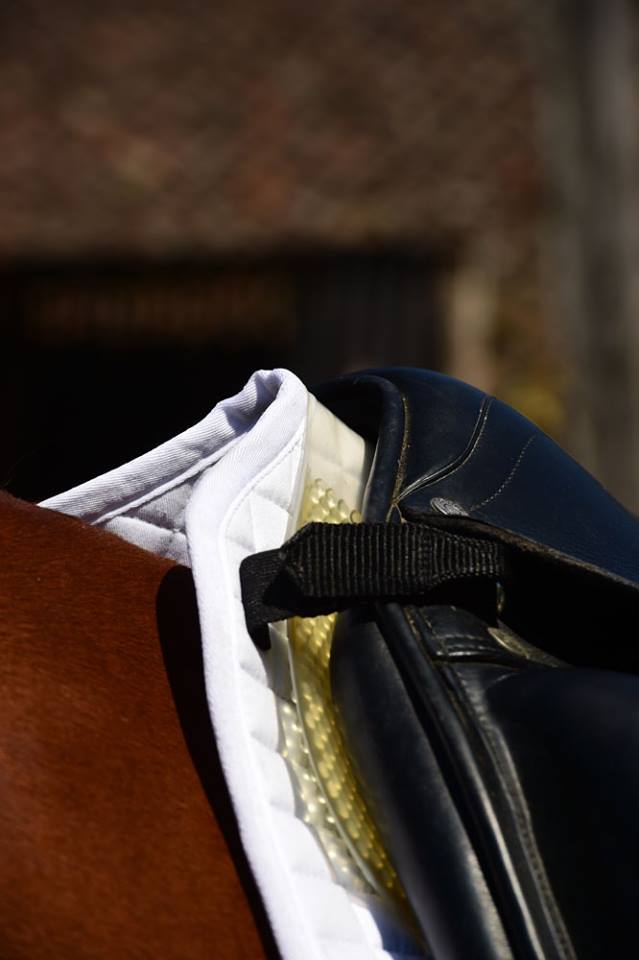 Southern Stars Saddlery