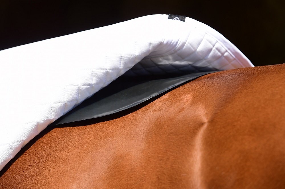 Southern Stars Saddlery