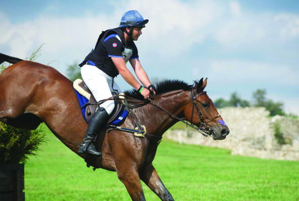 Southern Stars Saddlery