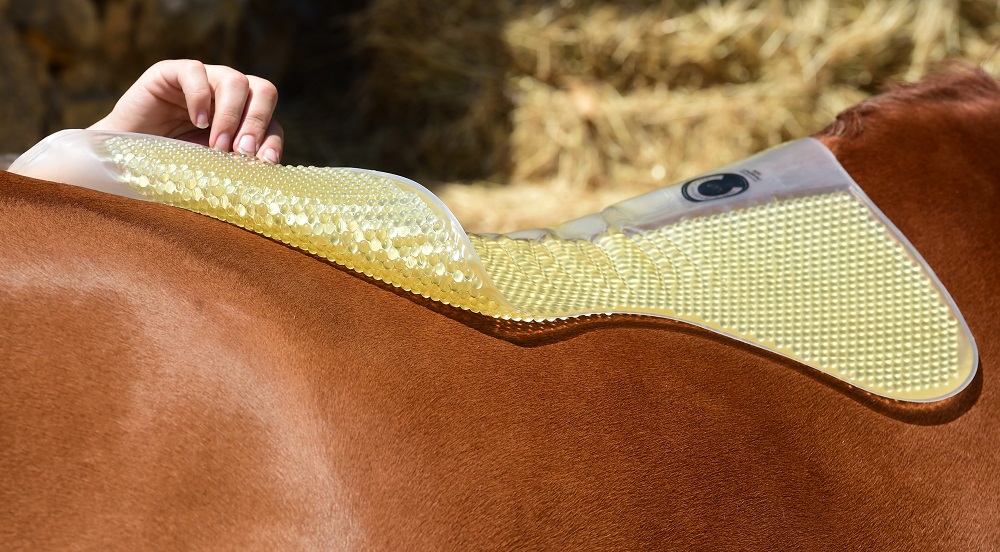 Southern Stars Saddlery