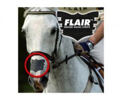 Flair Equine Nasal Strip Applied - Black on White Horse