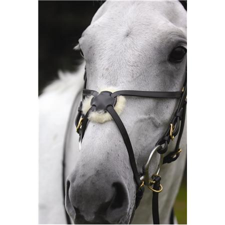 Southern Stars Saddlery