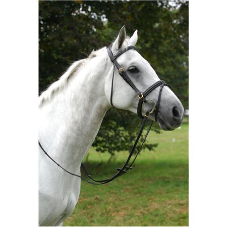 Southern Stars Saddlery