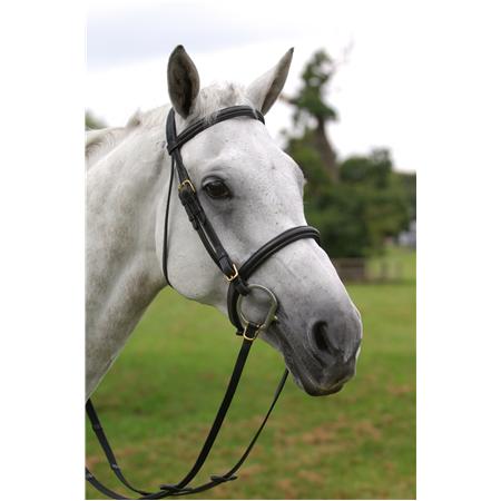 Southern Stars Saddlery