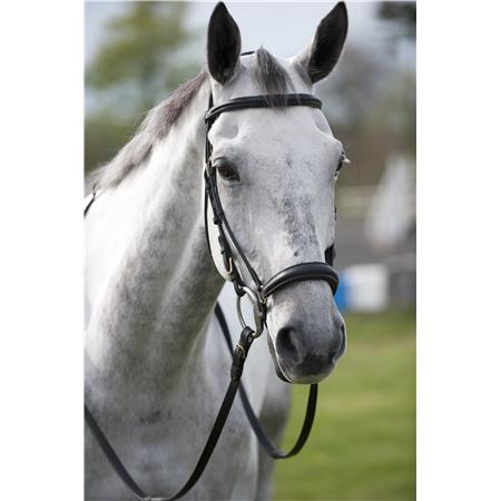 Southern Stars Saddlery