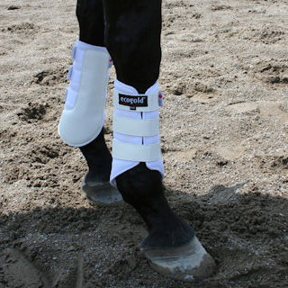 Southern Stars Saddlery