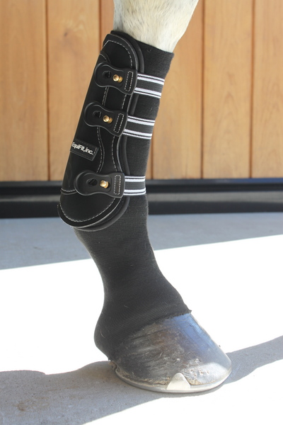 Southern Stars Saddlery