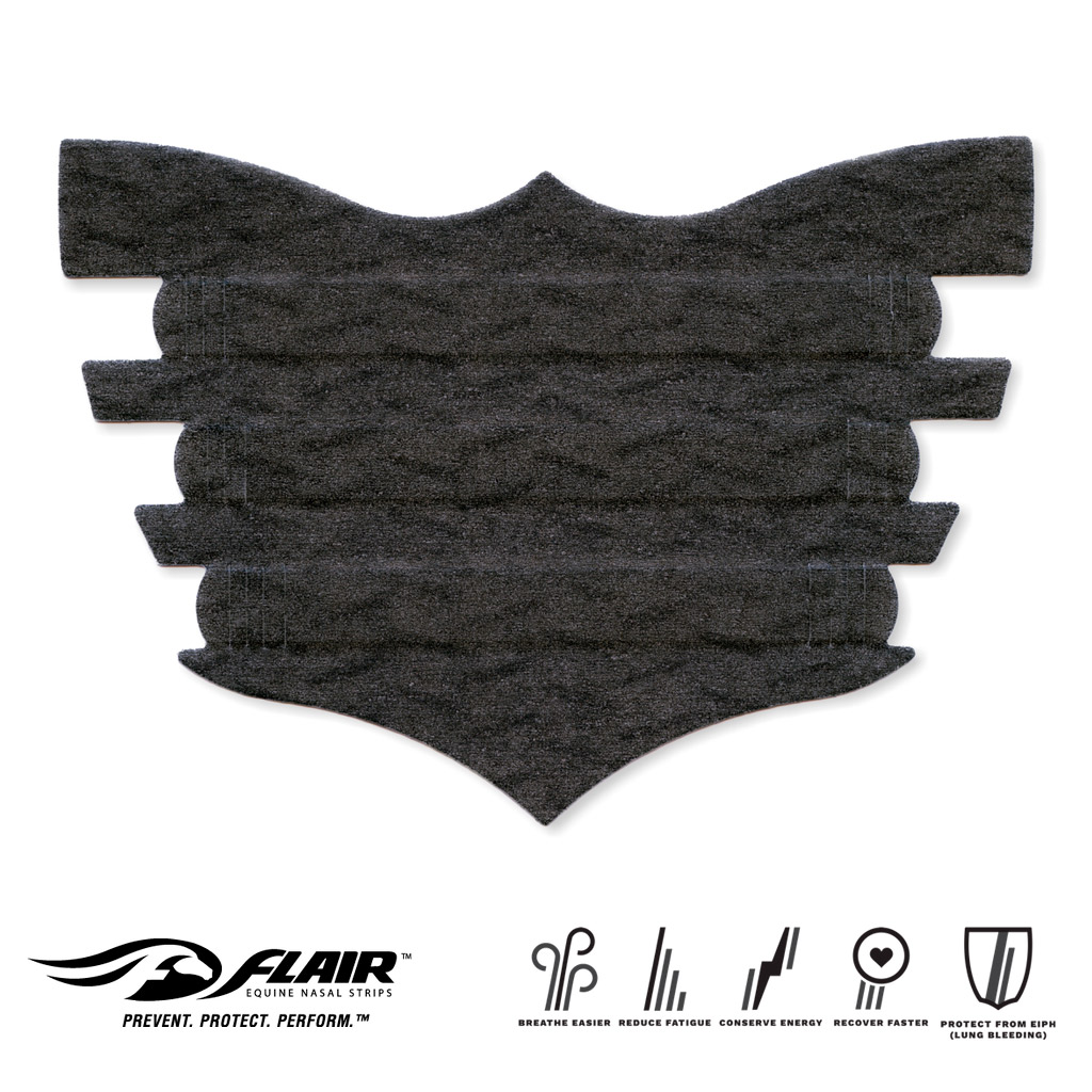 Flair Nasal Strip - Black | Southern Stars Saddlery, Australia Flair Nasal Strip - Black | Southern Stars Saddlery, Australia