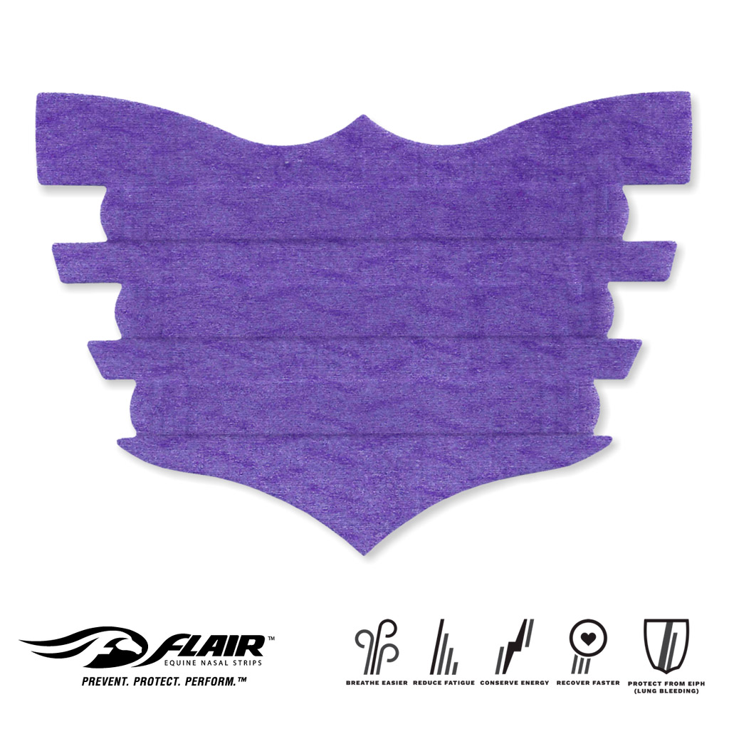 Flair Nasal Strip - Purple | Southern Stars Saddlery, Australia Flair Nasal Strip - Purple | Southern Stars Saddlery, Australia