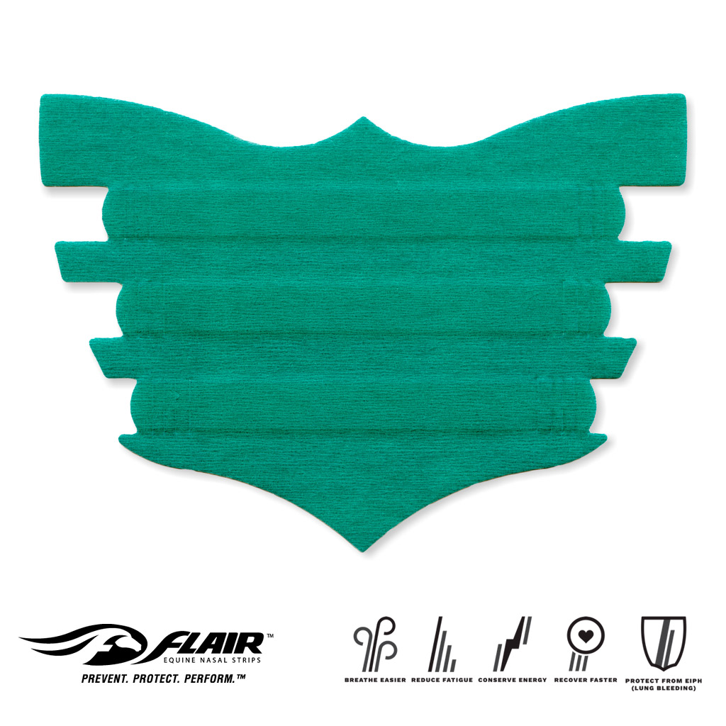 Flair Nasal Strip - Turquoise | Southern Stars Saddlery, Australia Flair Nasal Strip - Turquoise | Southern Stars Saddlery, Australia
