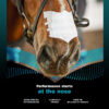Flair Nasal Strips - Performance Starts at the Nose