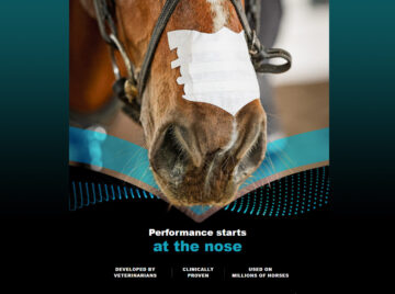 Flair Nasal Strips - Performance Starts at the Nose